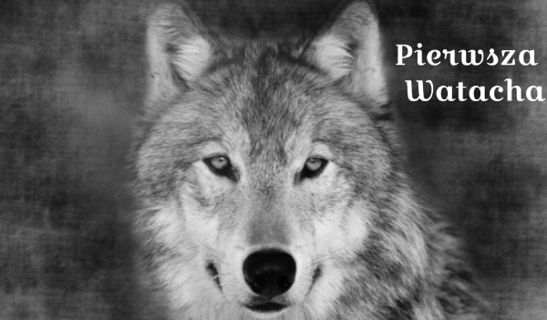 Pierwsza watacha cz.2