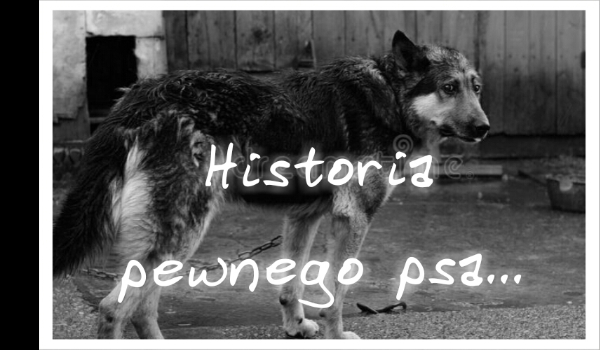 Historia pewnego psa…  (One-Shot 2)
