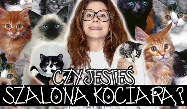 Czy jesteś szaloną kociarą?