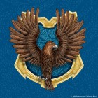 Ravenclaw_for_life