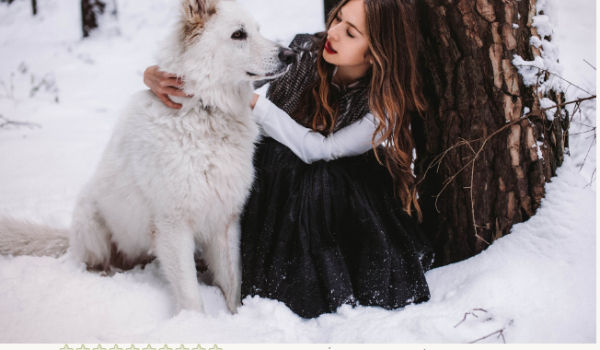 Jaką rasą psa jesteś ? Hmmm może Labrador ? Sprawdź to !