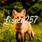 Lisica257