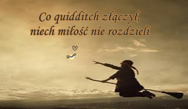 Co quidditch złączył, niech miłość nie rozdzieli #6