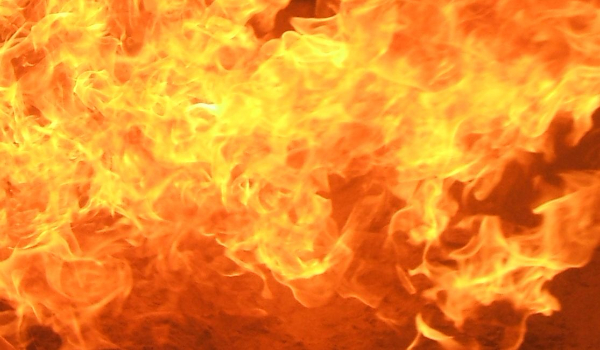 Co znajdziesz pod lawą?