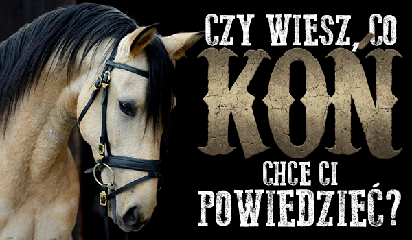 Czy wiesz, co koń chce Ci powiedzieć?