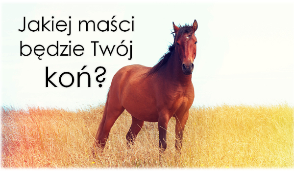 Jakiej maści będzie Twój koń?
