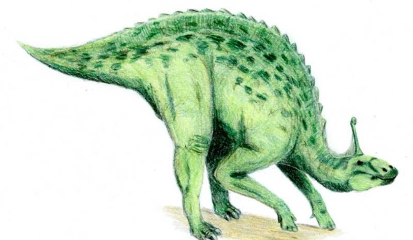 Dinozaury i inne prehistoryczne zwierzęta część czternasta- Tsintaozaur