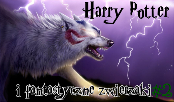 Harry Potter i fantastyczne ZWIERZAKI #2 Wolf-storm