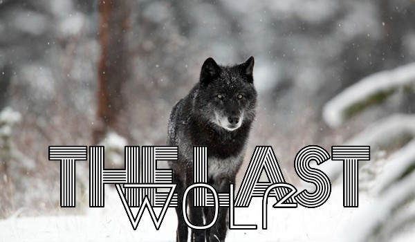 The Last Wolf #3