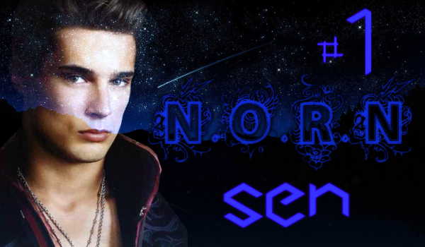 N.O.R.N #1-Sen