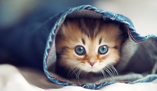 Jesteś moją bff? Sprawdź to!!