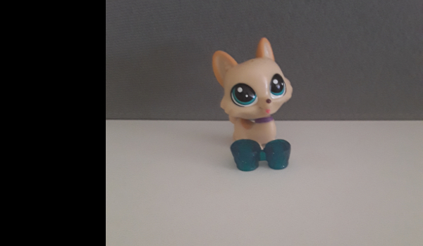 Jakim lps zostaniesz