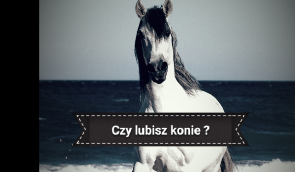Jak znasz się na koniach?