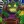 plantsvszombies