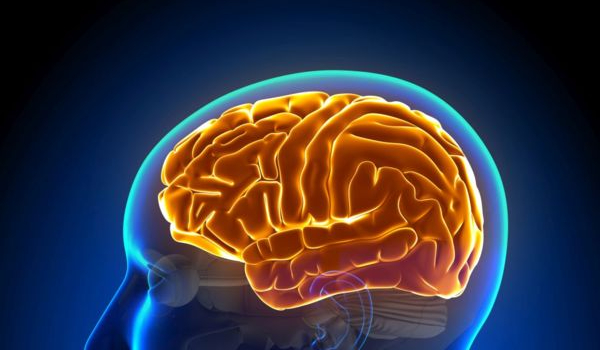 podchwytliwe pytania