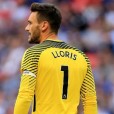 Lloris1