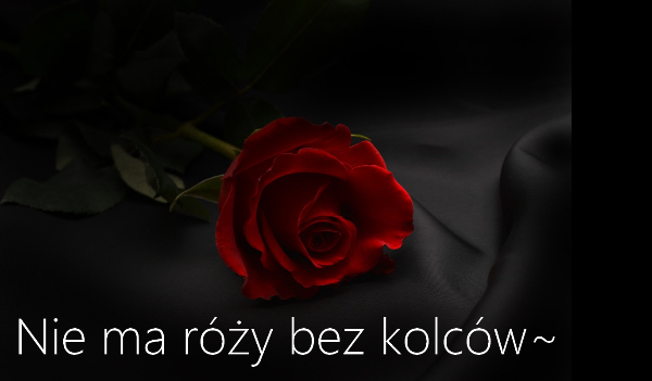 Nie ma róży bez kolców rozdział I