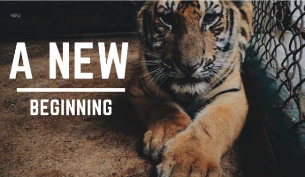A new beginning #1