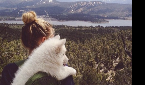 Jaką osobowość reprezentujesz?