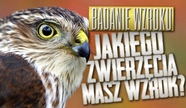 Badanie wzroku. Jakiego zwierzęcia wzrok posiadasz?