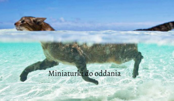 Miniaturki do oddania #2