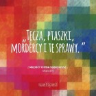 RoseRozaFrancePoland