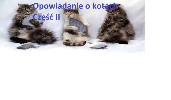 Opowiadanie o kotach #2