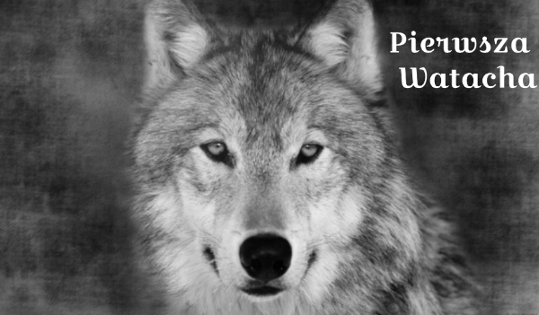 Pierwsza watacha cz.3
