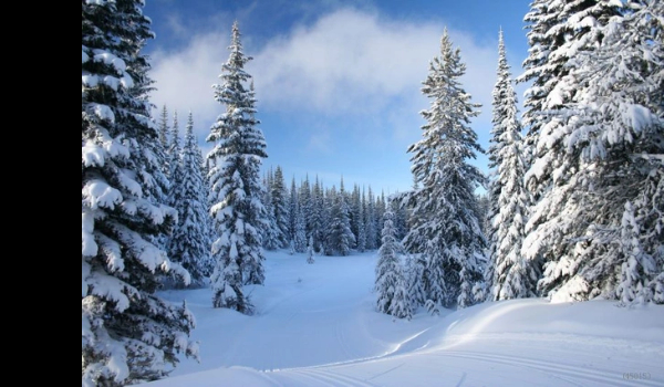 Styczniowe Q&A-pytania