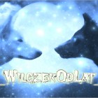 _WilczekOdLat_