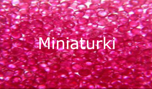 Miniaturka dla maly_KOTELEK