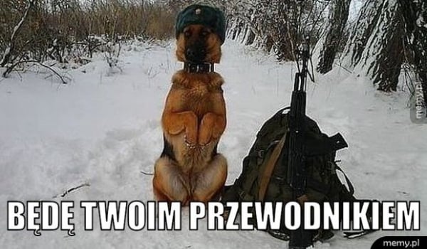 Memy #15- Roooooosja!!!!!