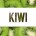Kiwi1234