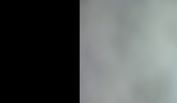 Do kogo pasujesz CEBULA czy IZAK