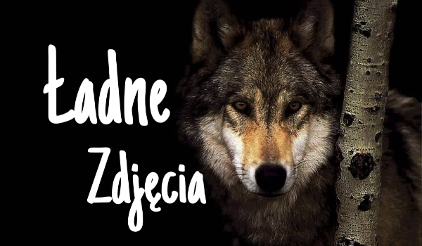 Ładne zdjęcia #4