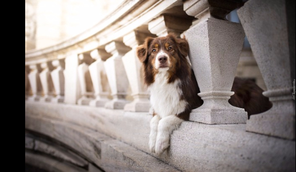 Piękne zdjęcia #14