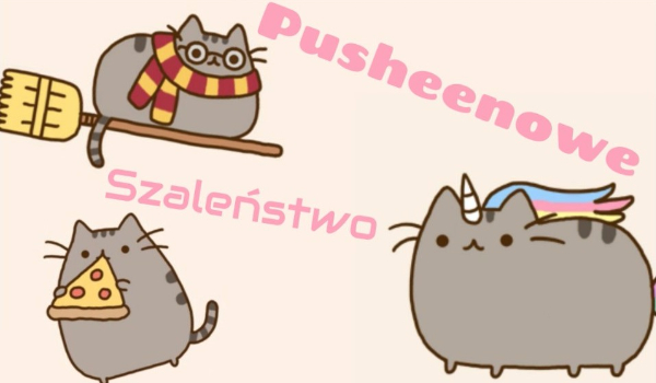 Pusheenowe szaleństwo !