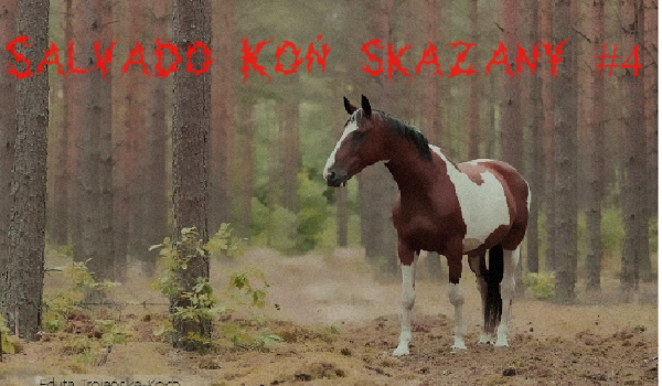 Salvado koń skazany #4