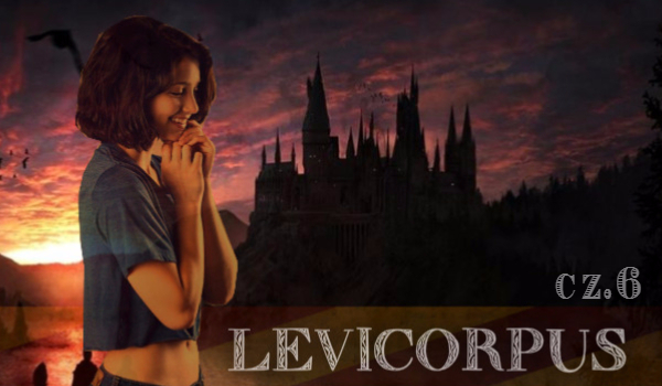 Levicorpus #6