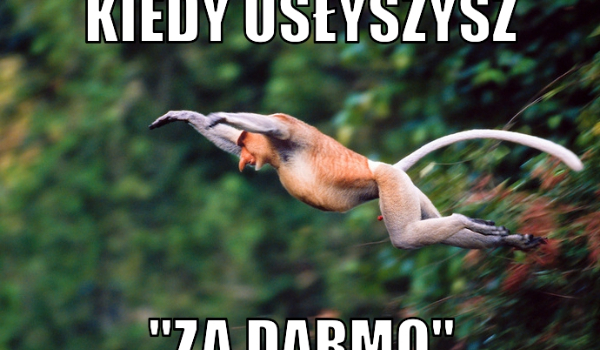 CZY JESTES FAJNY??