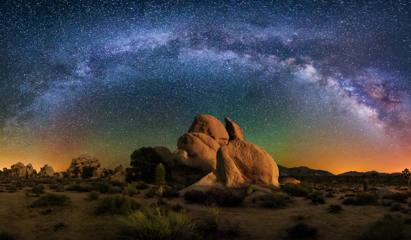 bo w stadzie siła #3