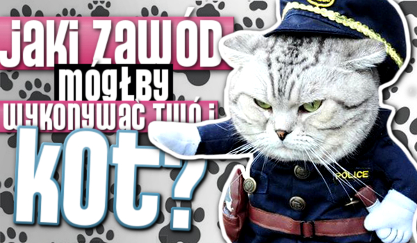 Jaki zawód mógłby wykonywać Twój kot?