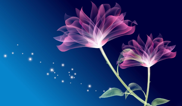 Milionerzy.Słodzycze