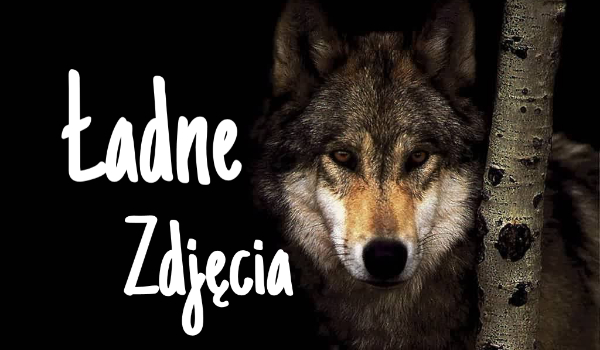 Ładne zdjęcia #3