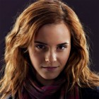 HermioneWeasley