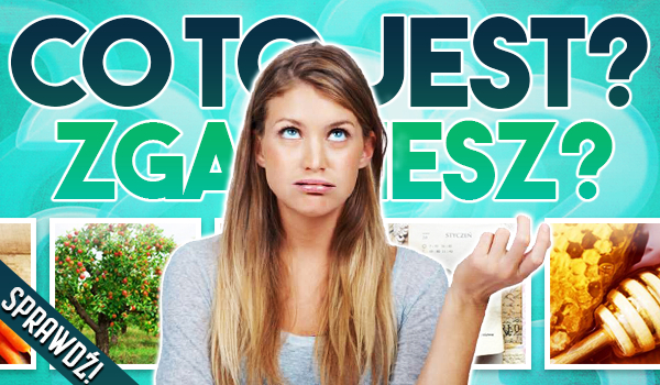 Co to jest? Zgadniesz? #1
