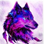 Wolf_Love_Love_Love_Love