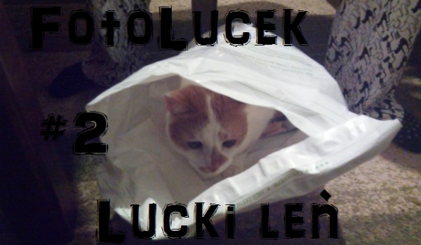 FotoLucek, czyli seria Luckich zdjęć #2 Lucki leń
