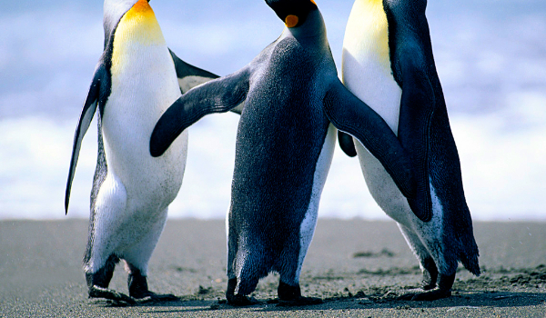 nudzisz się kliknij w to