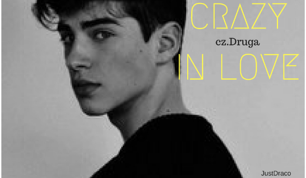 Crazy in Love cz.Druga